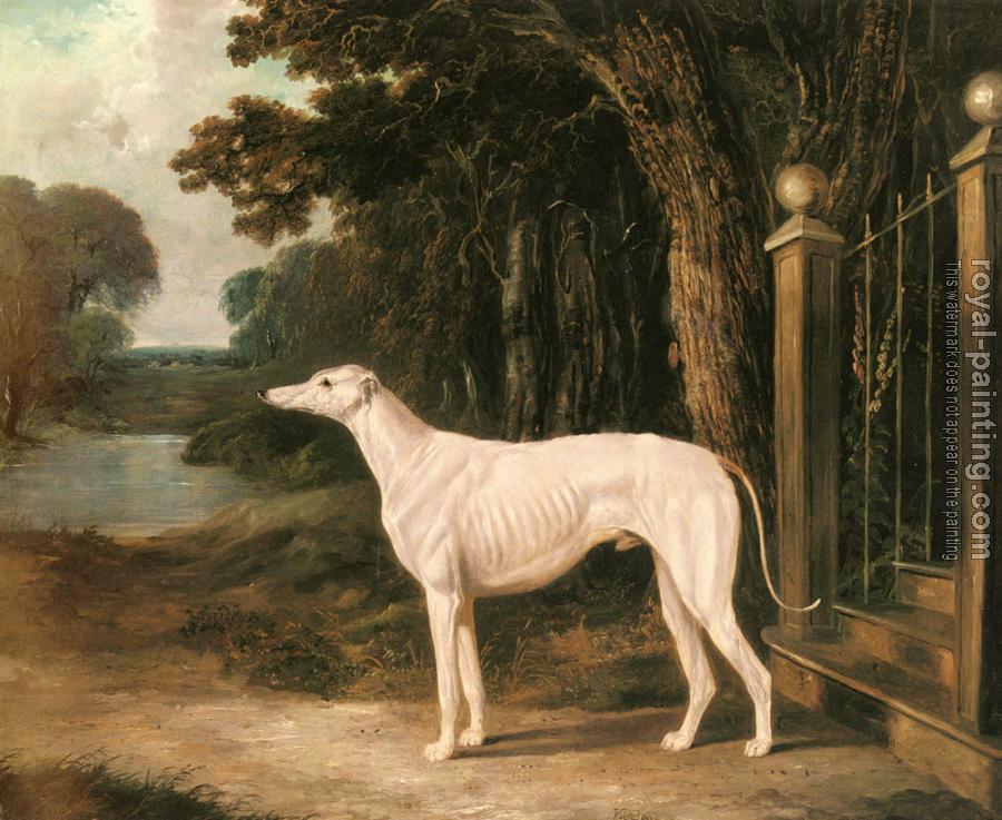 John Frederick Jr Herring : Vandeau, A White Greyhound